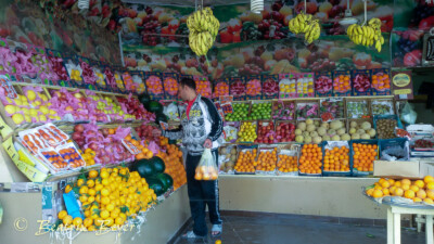 in Hurghada