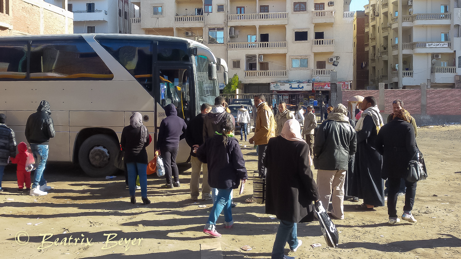 Wieder goBus – diesmal nach Luxor