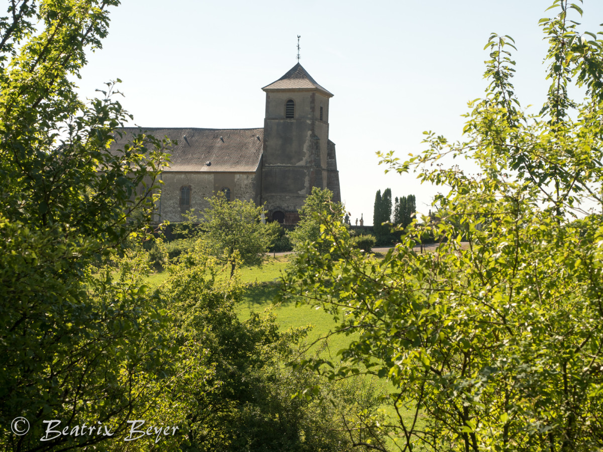 _7180633_20170718_472