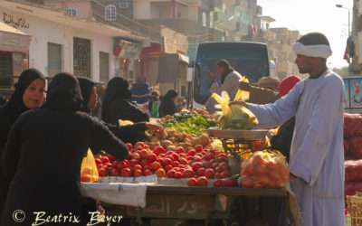 Dienstag – der Gemüsemarkt – mein letzter halber Tag in Luxor