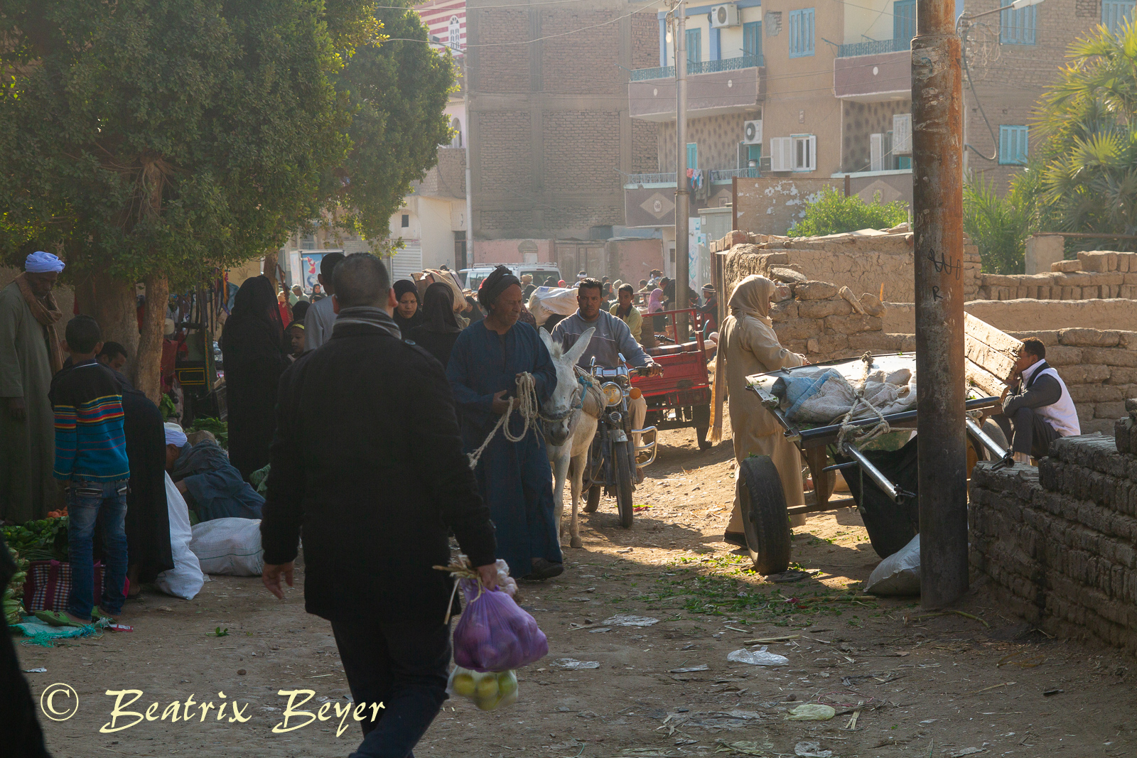 Luxor – auf dem Wochenmarkt