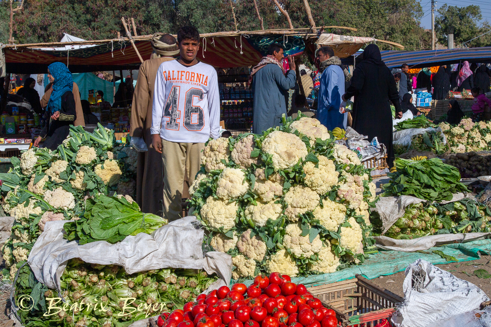Luxor – auf dem Wochenmarkt