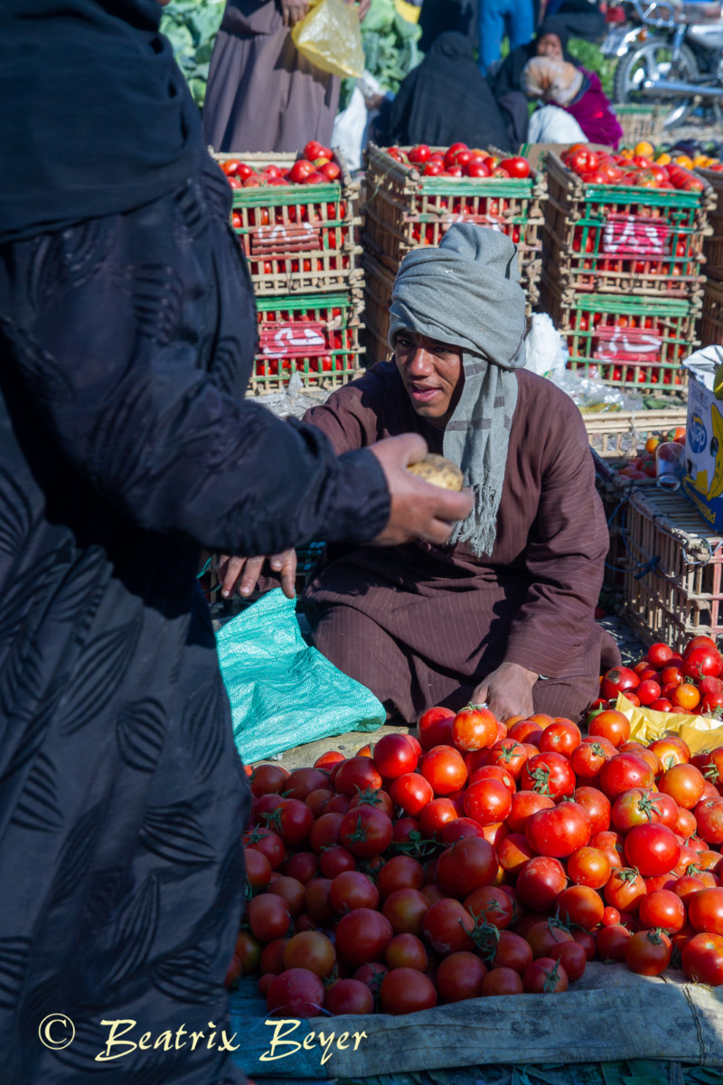 Luxor – auf dem Wochenmarkt