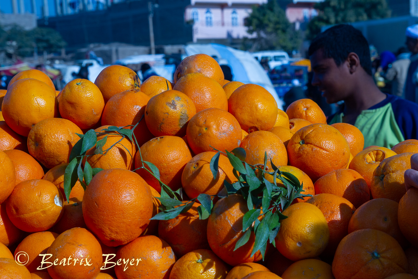 Luxor – auf dem Wochenmarkt