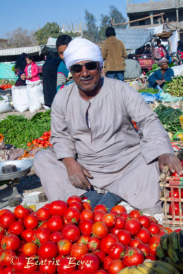 Luxor - auf dem Wochenmarkt