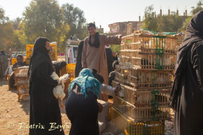 Luxor - auf dem Wochenmarkt