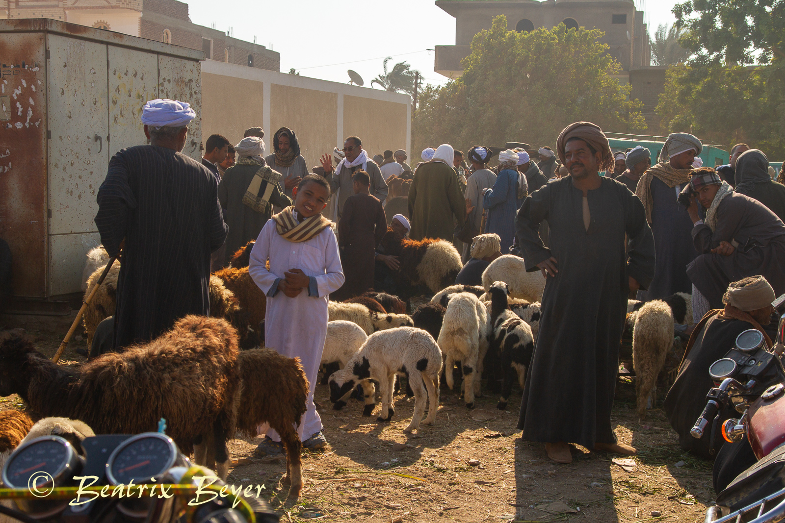 Luxor – auf dem Wochenmarkt