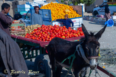 Luxor - auf dem Wochenmarkt