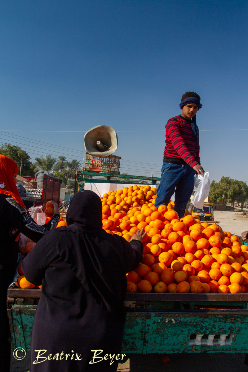 Luxor – auf dem Wochenmarkt