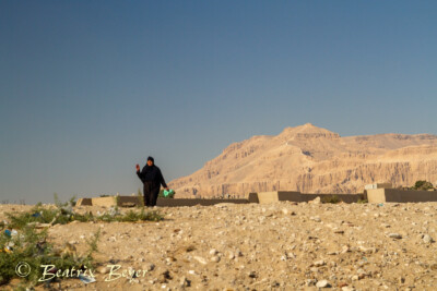 in Luxor gesehen