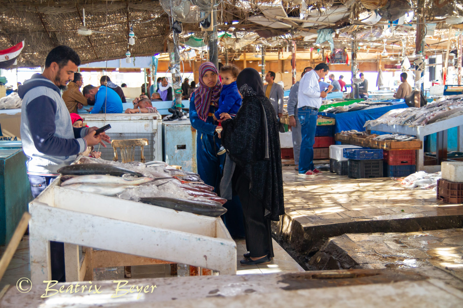 Fischeinkauf