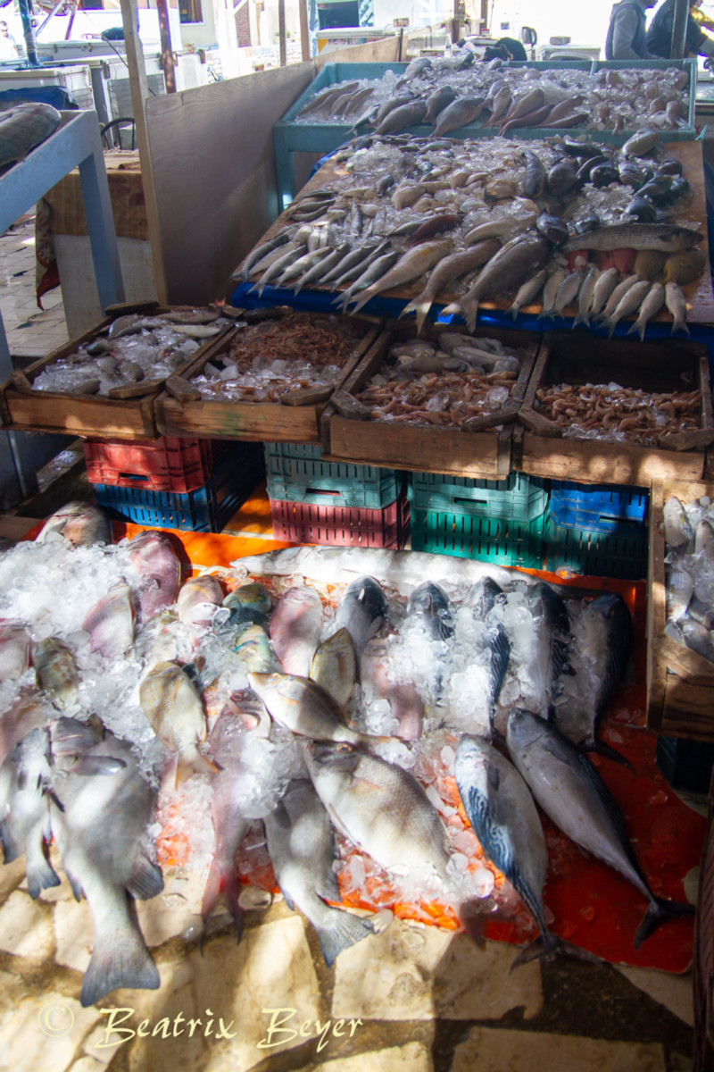 auf dem Fischmarkt