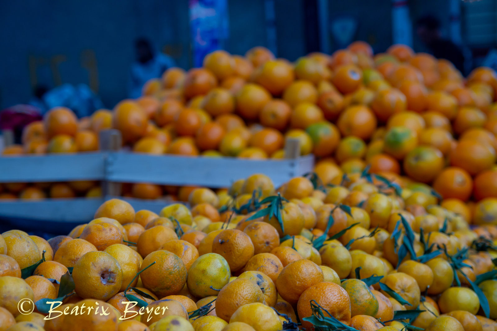 immer wieder Orangen
