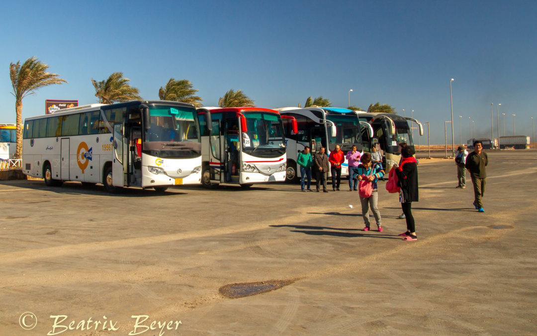 Mit goBus allein nach Kairo