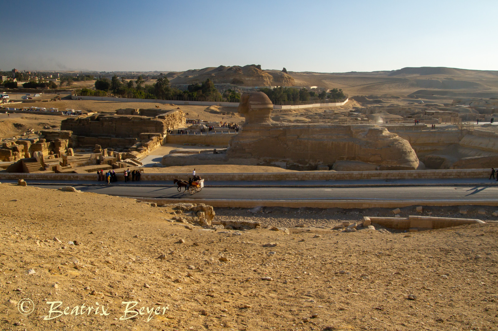 die Sphinx