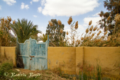 im Dorf Tunis entdeckt
