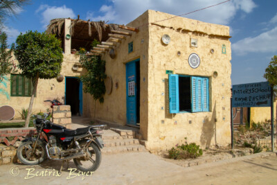 im Dorf Tunis entdeckt