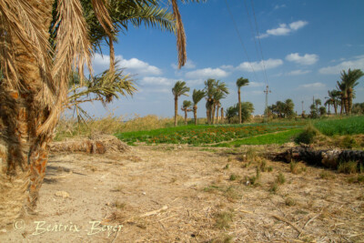 im Dorf Tunis