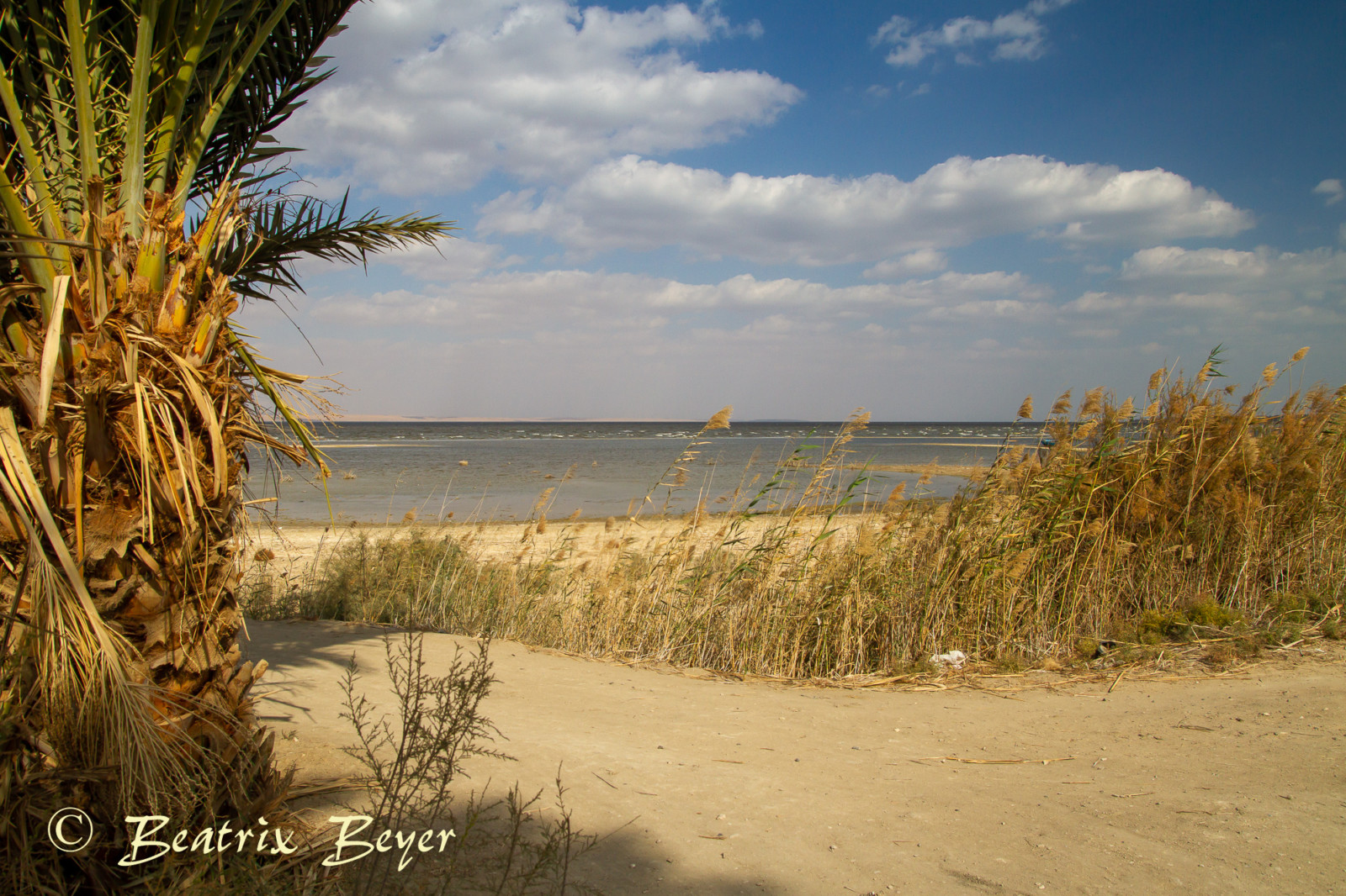 Spaziergang am See