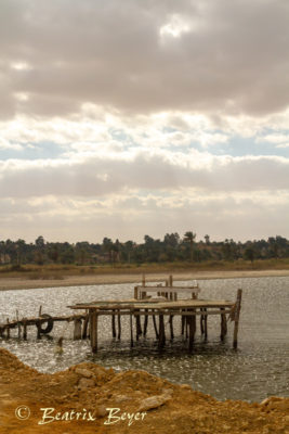 Spaziergang am See