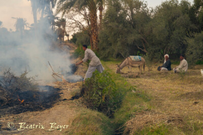 im Dorf Tunis entdeckt