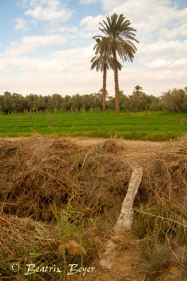 im Dorf Tunis entdeckt