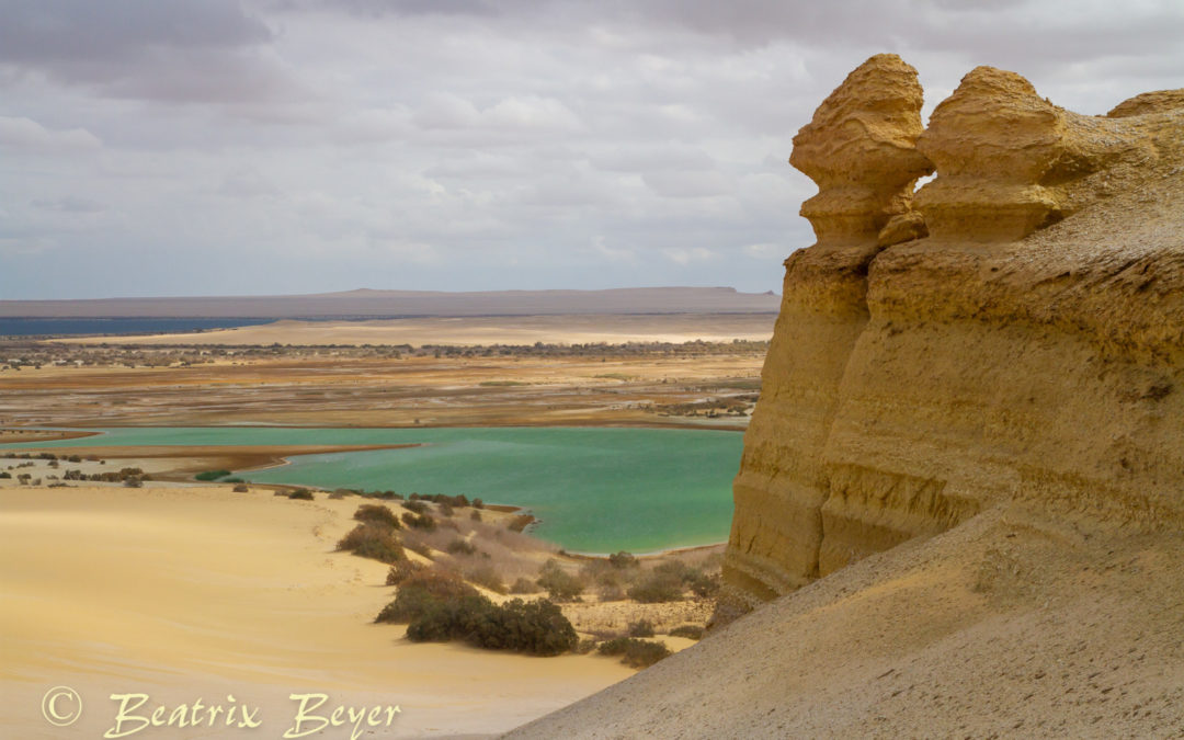Wandern in der Wüste – Wadi Rayan National Park