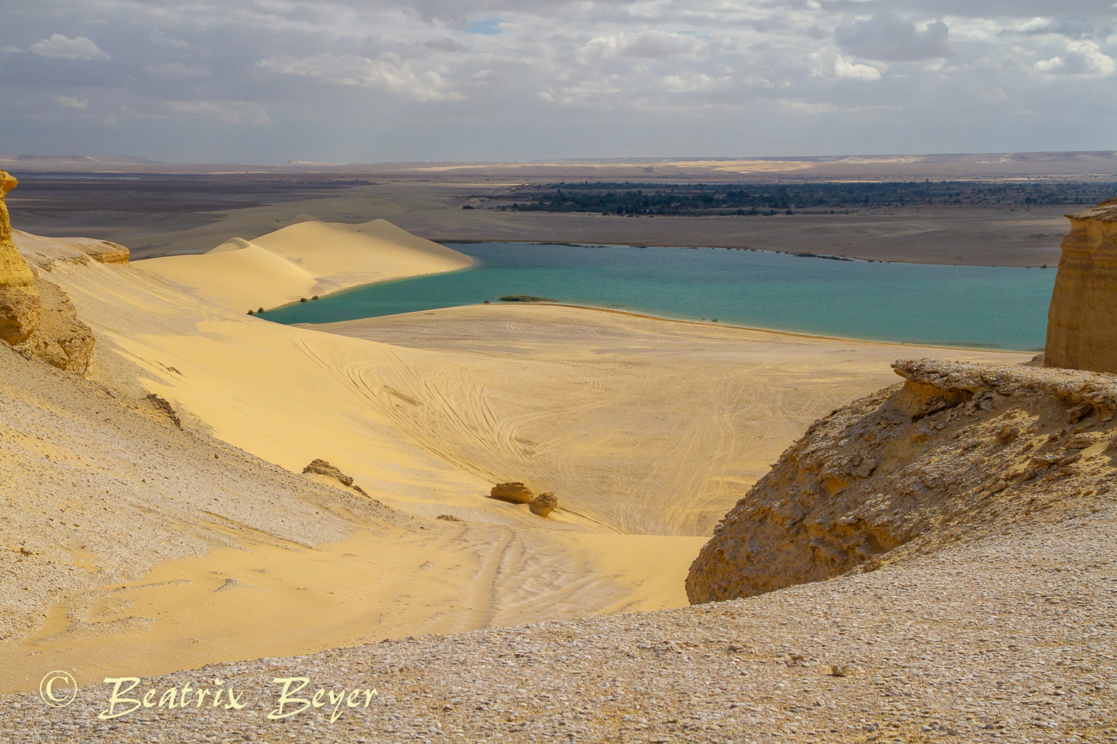 _MG_9862
