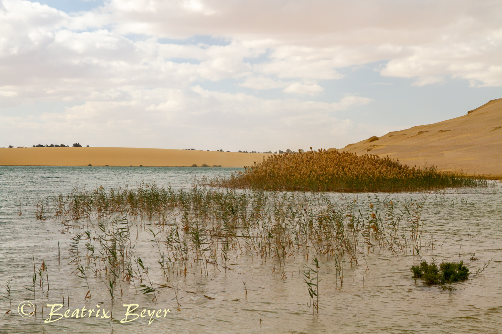 _MG_9866