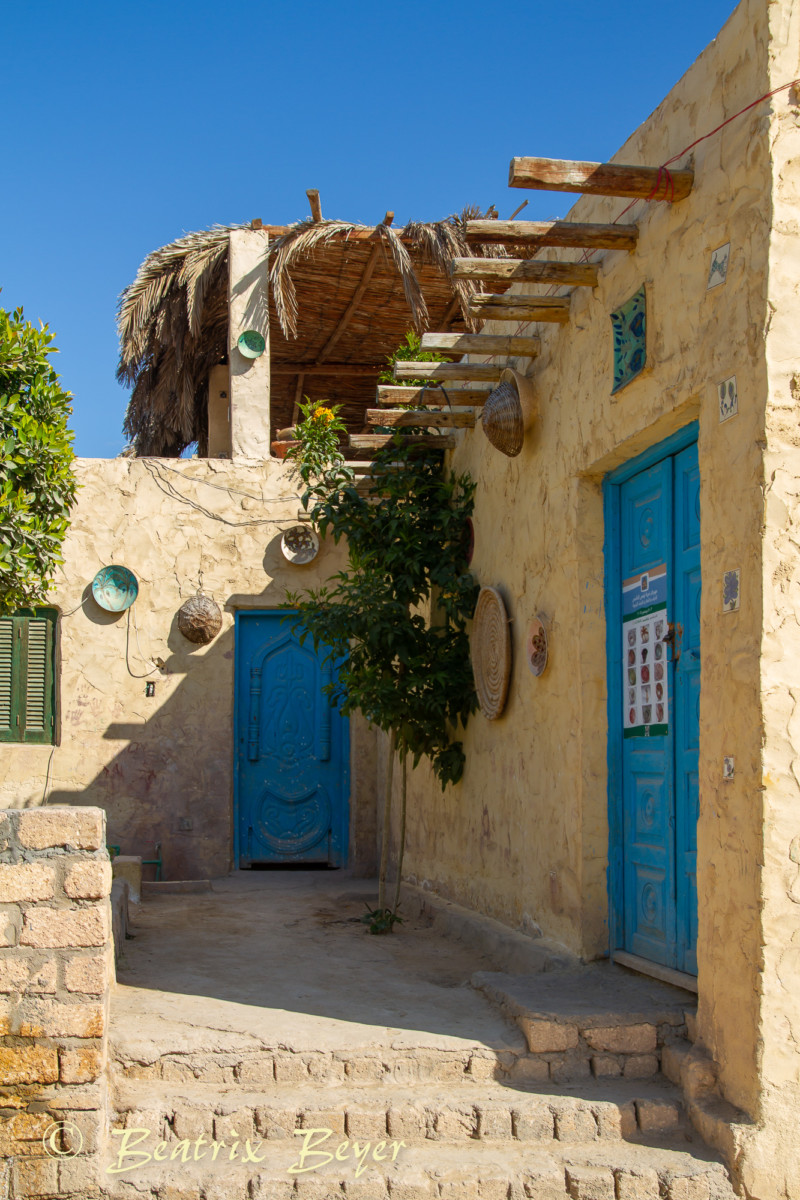 letzte Eindrücke in Tunis