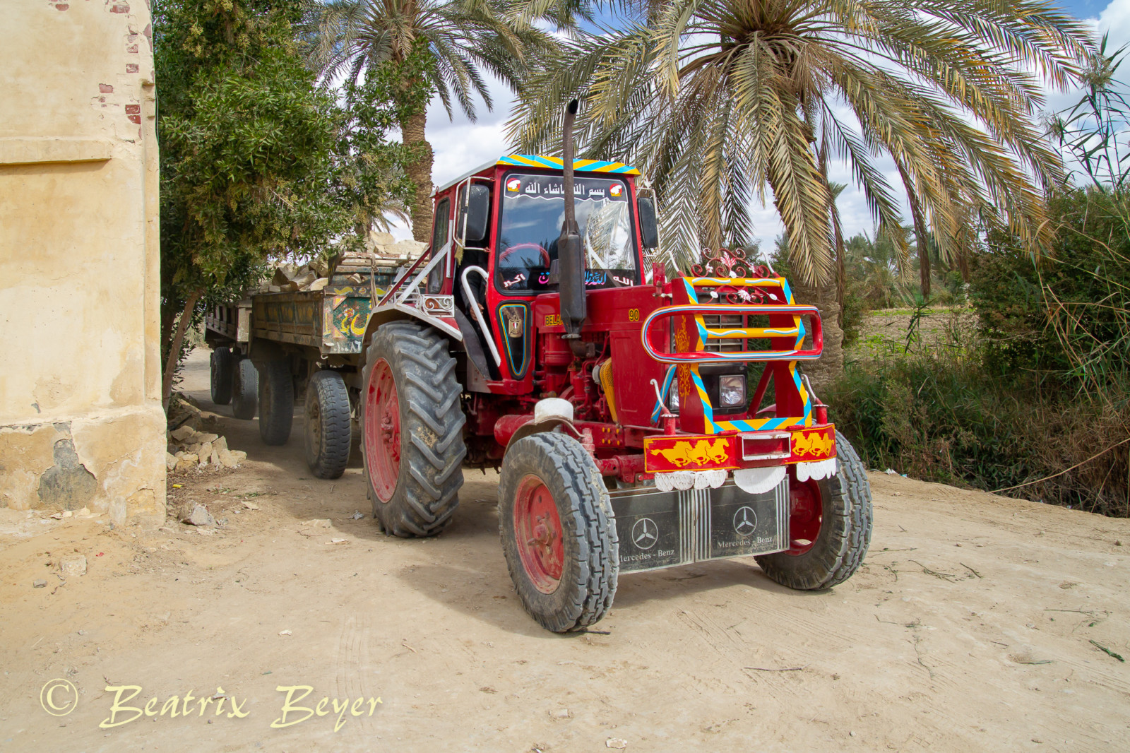 letzte Eindrücke in Tunis