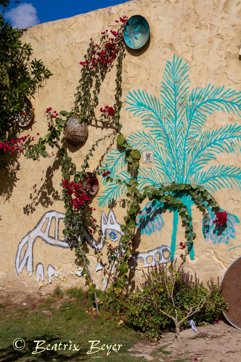Eindrücke in Tunis
