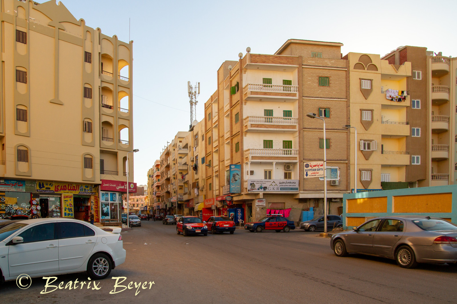 _MG_9979