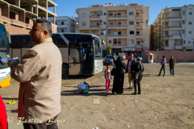 mit goBus nach Luxor