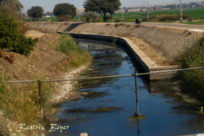 unterwegs nach Luxor